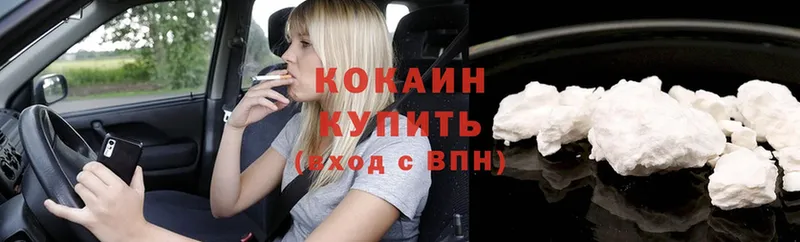 Cocaine Fish Scale  нарко площадка клад  Ковылкино 