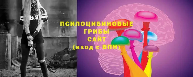 Псилоцибиновые грибы Magic Shrooms  Ковылкино 