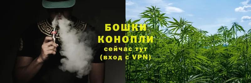 Бошки Шишки SATIVA & INDICA  Ковылкино 